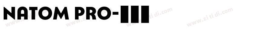 NATOM PRO字体转换 NATOM PRO字体转换